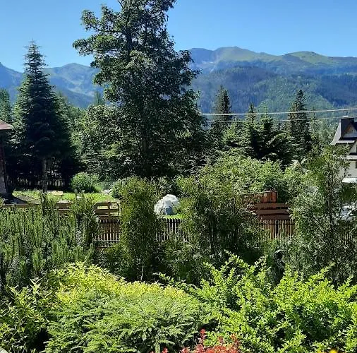 Kierpcowka 16 Apartzakop